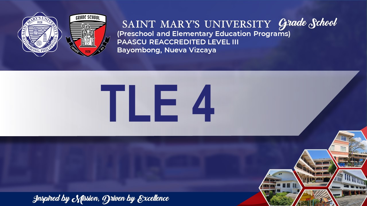 TLE 4- ST. AUGUSTINE